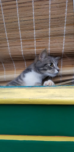 Gift Shop «Horizons Gifts», reviews and photos, 105 Race St, Jim Thorpe, PA 18229, USA