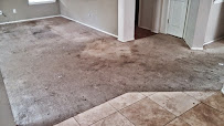 Organic Carpet Care & Home services - Photo 3 - Car repair in , Austin