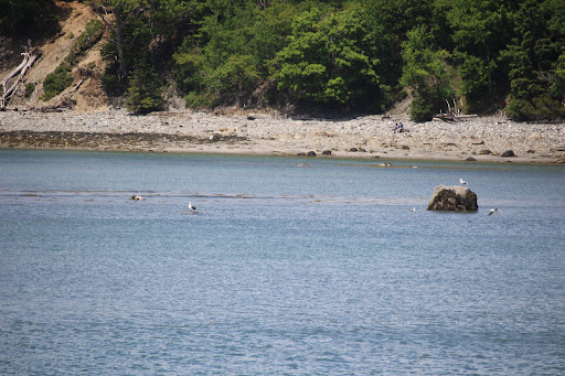 Whale Watching Tour Agency «Bar Harbor Whale Watch Co», reviews and photos, 1 West St, Bar Harbor, ME 04609, USA