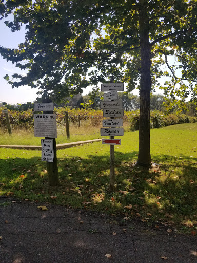 Winery «Paris Winery», reviews and photos, 2982 Harvey Bowden Rd, Paris, TN 38242, USA