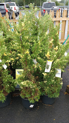 Home Improvement Store «The Home Depot», reviews and photos, 1255 Ten Rod Rd, North Kingstown, RI 02852, USA