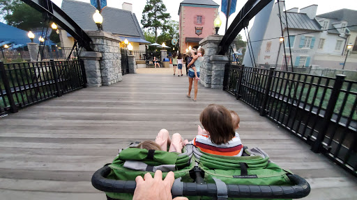 Roller Coaster «Griffon», reviews and photos, 1 Busch Gardens Blvd, Williamsburg, VA 23185, USA