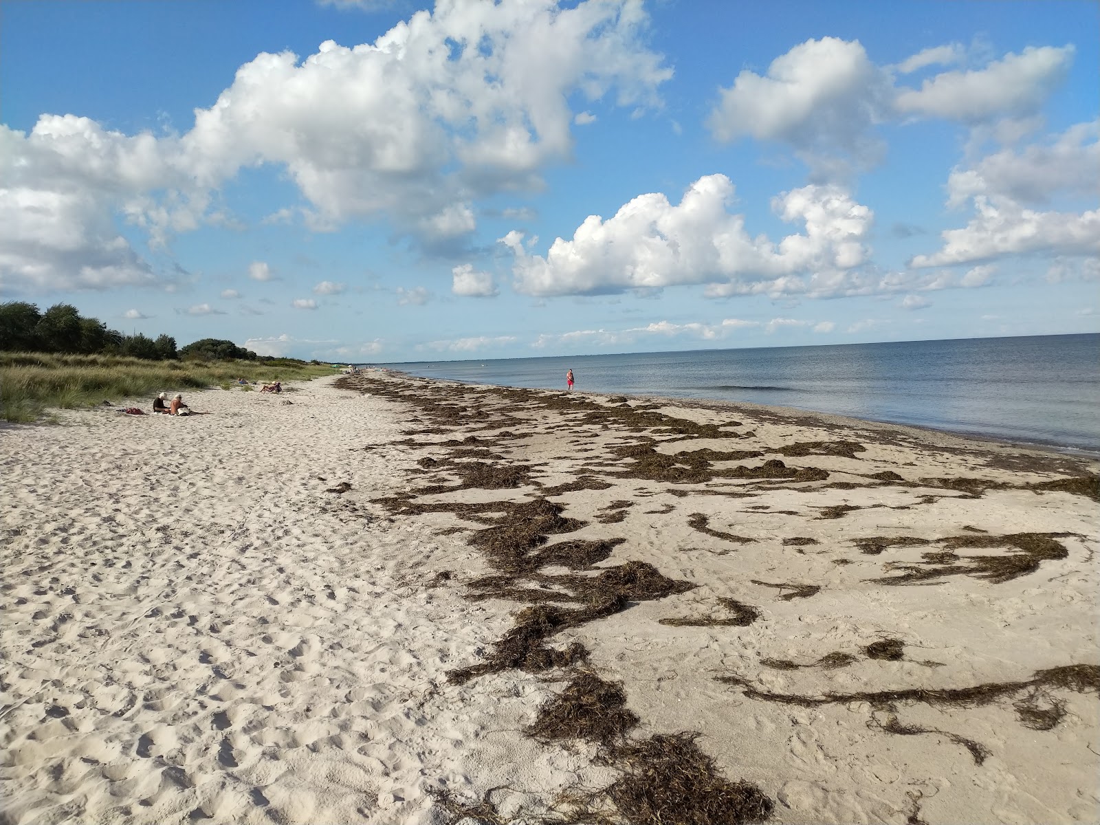 Gedesby Beach'in fotoğrafı imkanlar alanı