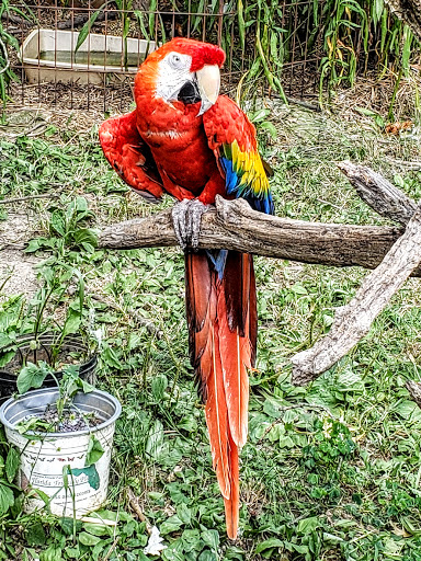 Pet Store «Pet Connection», reviews and photos, 1441 W State St, Alliance, OH 44601, USA