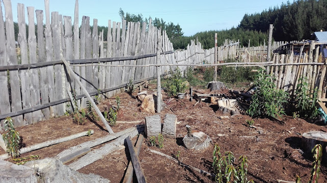 Teléfono de Cesar Campos Sombrereria
