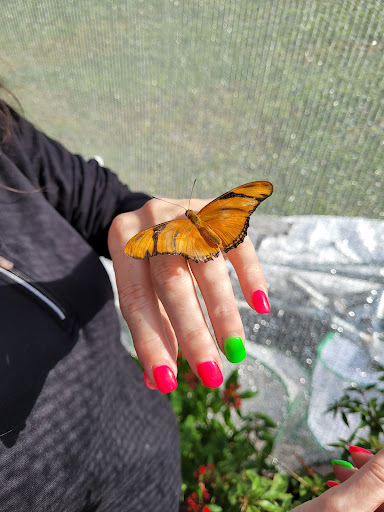 Tourist Attraction «Partin Ranch Corn Maze», reviews and photos, 5601 N Canoe Creek Rd, Kenansville, FL 34739, USA