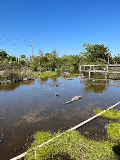 Zoo «Alligator Adventure», reviews and photos, 4604 Hwy 17 S, North Myrtle Beach, SC 29582, USA
