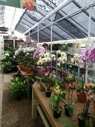 Florist «Victor Hlavacek Florist», reviews and photos, 746 Green Bay Rd, Winnetka, IL 60093, USA