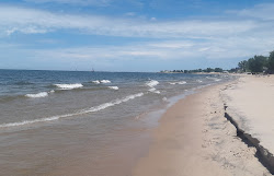 Lions Park Beach'in fotoğrafı - rahatlamayı sevenler arasında popüler bir yer