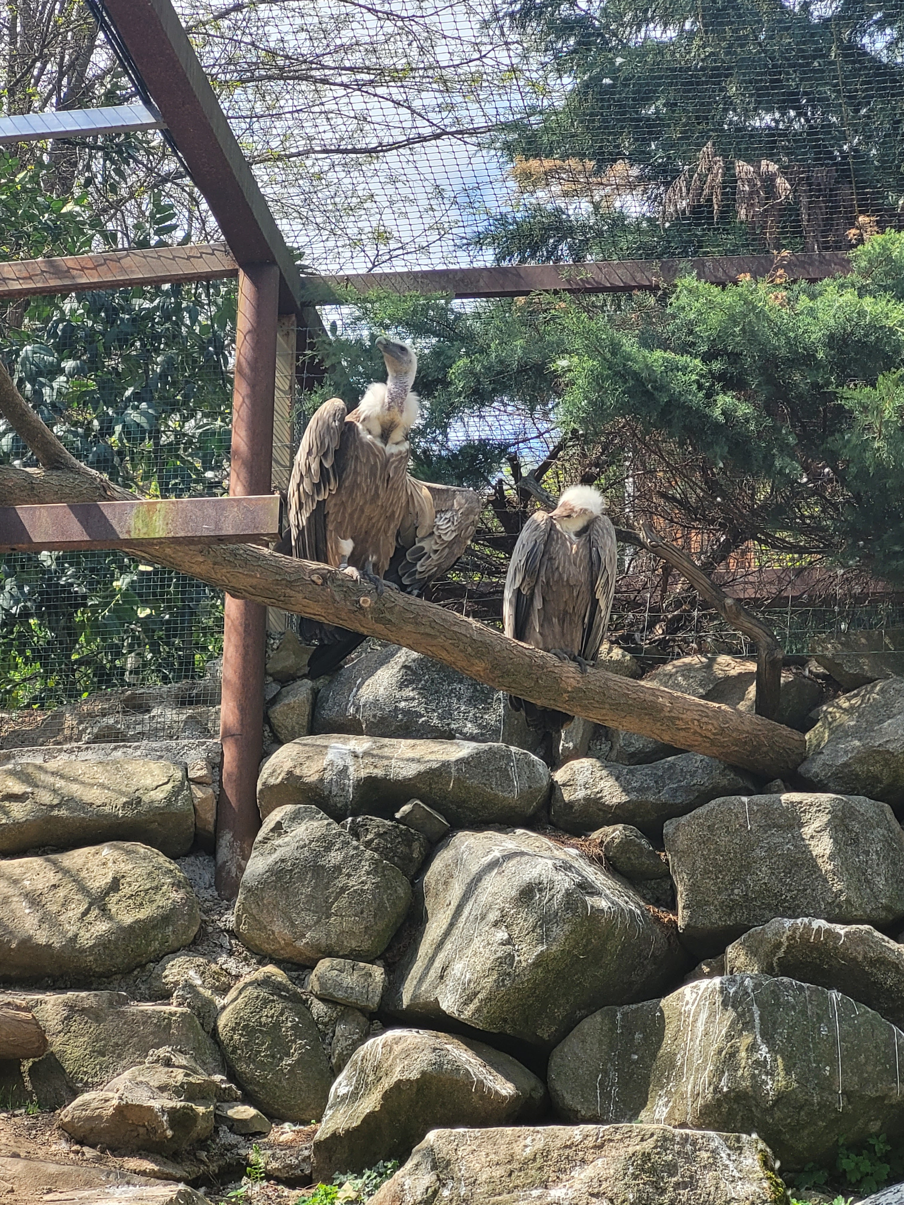 Photo n° 21 de l'avis de krystalita.t fait le 06/05/2023 à 15:24