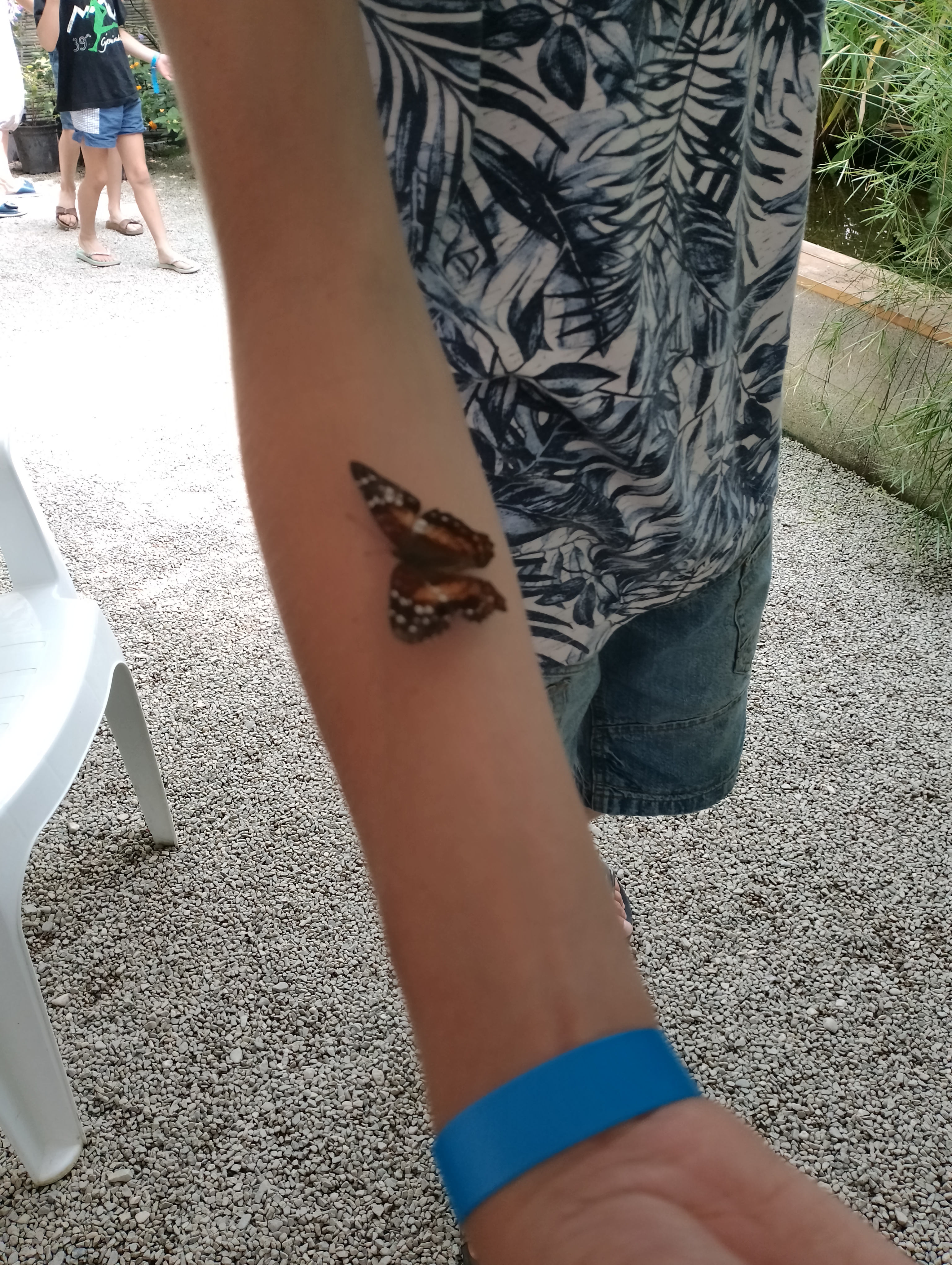 Photo n° 3 de l'avis de Gege.T fait le 22/07/2023 à 13:41