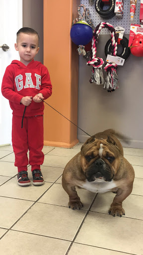 Pet Supply Store «Bully Zone Pet Supplies & Pet Grooming», reviews and photos, 1409 McCarter Hwy, Newark, NJ 07104, USA