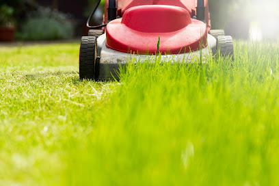 All About Lawns