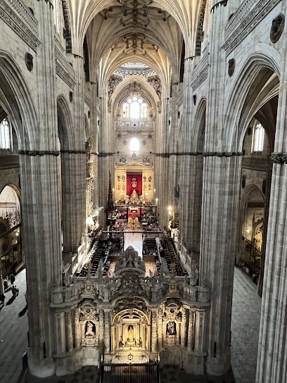 Exposición - Ieronimus - Salamanca