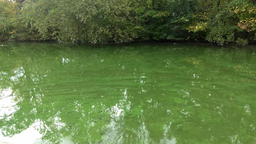 Tourist Attraction «Pemberton Place», reviews and photos, 126 Ivan Allen Jr Blvd NW, Atlanta, GA 30308, USA