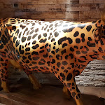 Photo n°1 de l'avis de Paolo. fait le 10/07/2018 à 15:06 sur le  Roadhouse Restaurant Carpi à Carpi