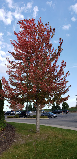 Gym «Life Time Fitness», reviews and photos, 18425 Dodd Blvd, Lakeville, MN 55044, USA