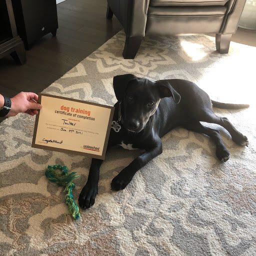 Pet Supply Store «Unleashed by Petco», reviews and photos, 20649 SW Roy Rogers Rd #301, Sherwood, OR 97140, USA