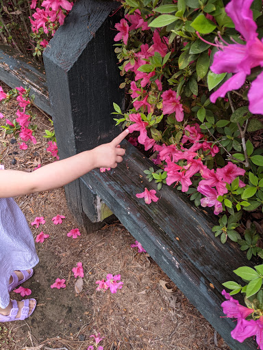 Park «Municipal (Langan) Park», reviews and photos, 4901 Zeigler Blvd, Mobile, AL 36608, USA