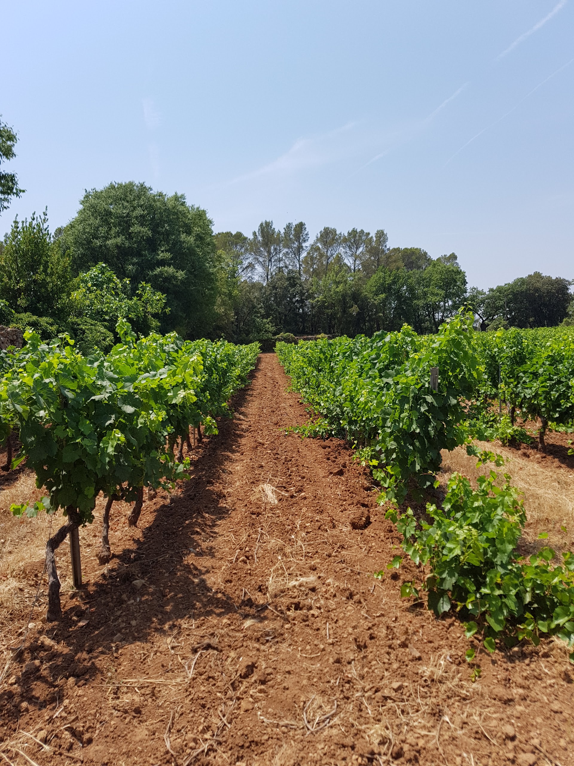 Photo n° 3 de l'avis de Pifa. fait le 26/06/2017 à 09:30