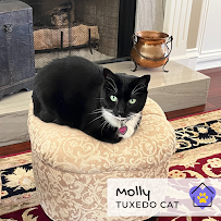 In Your Home Pet Care - Photo 2 - Car repair in , Mission Viejo