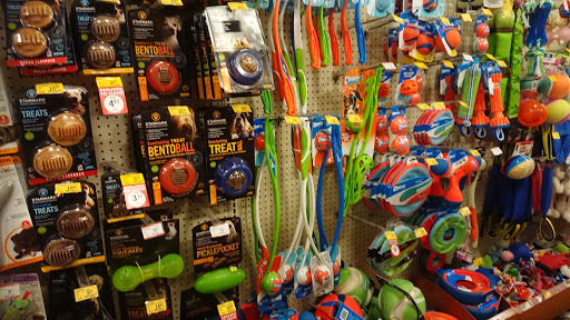 Pet Supply Store «PetSmart», reviews and photos, 3347 E Foothill Blvd, Pasadena, CA 91107, USA