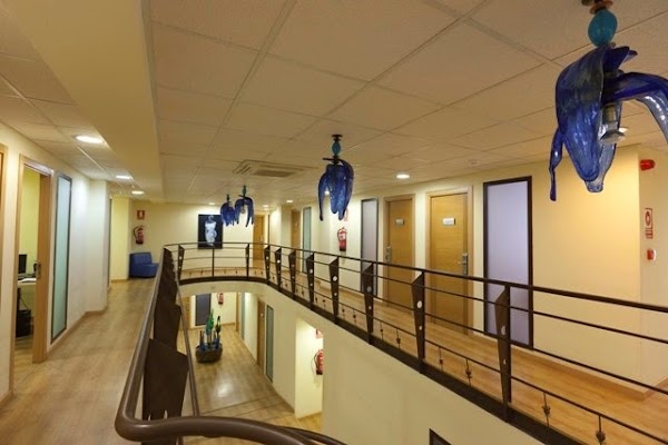 TLS Bureau Traducciones