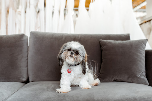 Bridal Shop «Something White Bridal Boutique», reviews and photos, 1510 Walnut St, Kansas City, MO 64108, USA