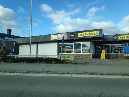 Dogs Paradise 24 unter Pahlen, 
