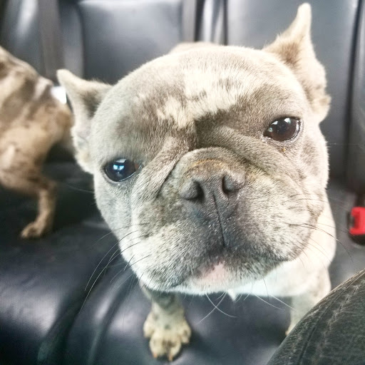 Coral Sands Animal Hospital