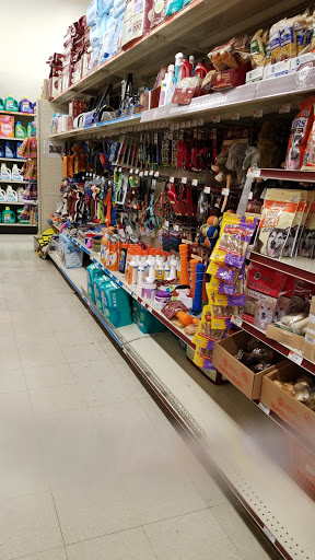 Discount Store «Big Lots», reviews and photos, 600 E Valley Blvd, Alhambra, CA 91801, USA