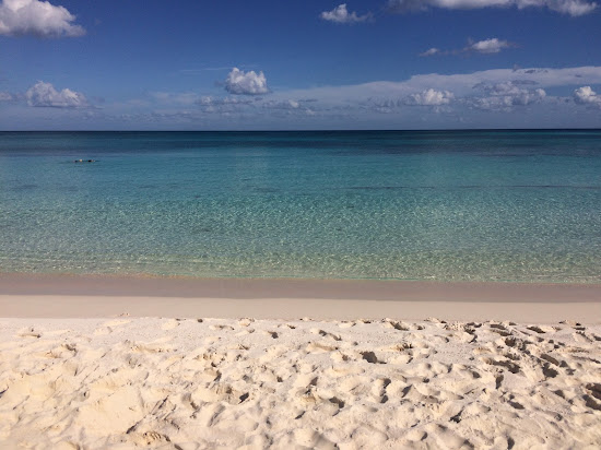Tortuga Sanctuary