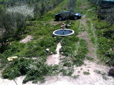 Photos of ferme d'olives