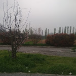 Photo n°2 de l'avis de Adelchi.r fait le 15/04/2018 à 17:29 sur le  Autogrill Ghedi Ovest à Bagnolo Mella