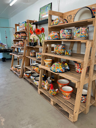 Plant Nursery «Wilcox Nursery», reviews and photos, 12501 Indian Rocks Rd, Largo, FL 33774, USA