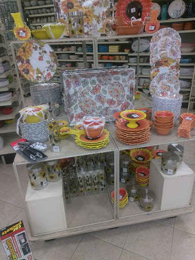 Home Goods Store «Christmas Tree Shops», reviews and photos, 5450 Brandywine Pkwy, Wilmington, DE 19803, USA