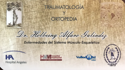 Dr. Holbeing Alfaro Galindez Ortopedia y Traumatología en Morelia