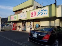 アクアショップエクスティア