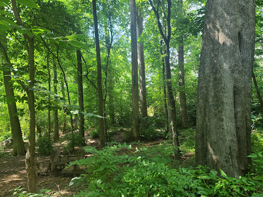 Museum «Discovery Place Nature», reviews and photos, 1658 Sterling Rd, Charlotte, NC 28209, USA