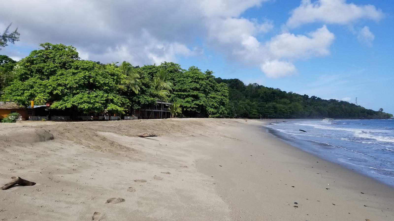 Foto di Grand Riviere beach con abbastanza pulita livello di pulizia