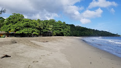 Foto von Grand Riviere beach mit etwas sauber Sauberkeitsgrad