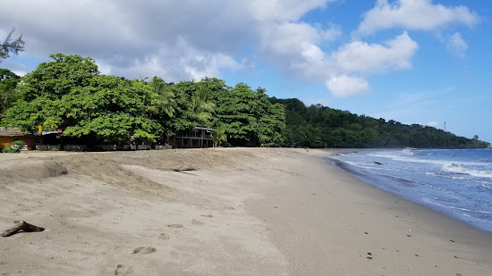Grand Riviere beach