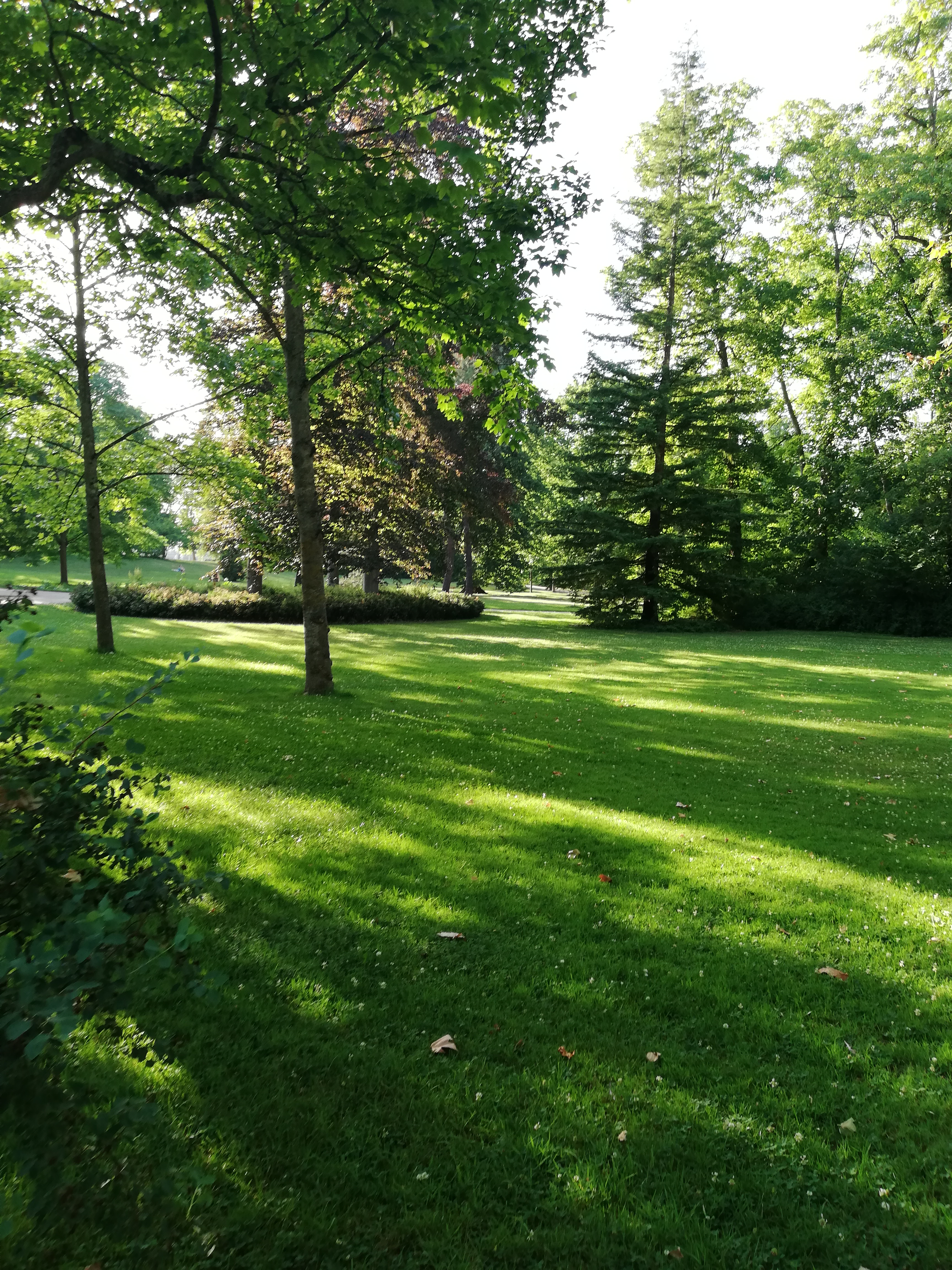 Photo n° 3 de l'avis de noopy.e fait le 03/07/2019 à 17:03