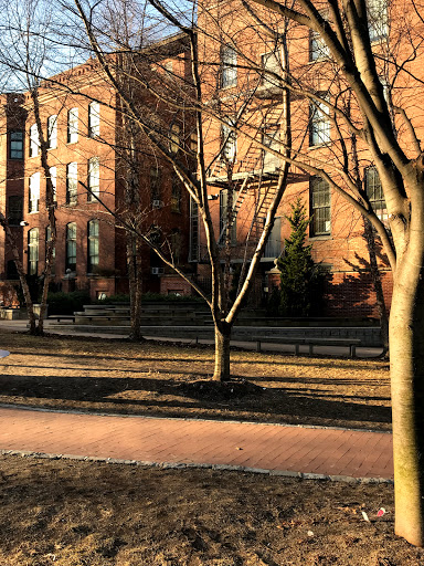 Private University «Pratt Institute», reviews and photos