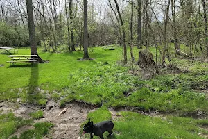 Garbry Big Woods Reserve image