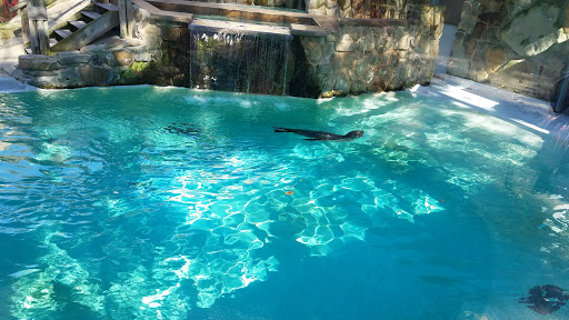 Zoo «Cleveland Metroparks Zoo», reviews and photos, 3900 Wildlife Way, Cleveland, OH 44109, USA