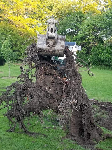 Plumber «Roto-Rooter Plumbing & Drain Services», reviews and photos, 235 N Meridian Rd, Youngstown, OH 44509, USA