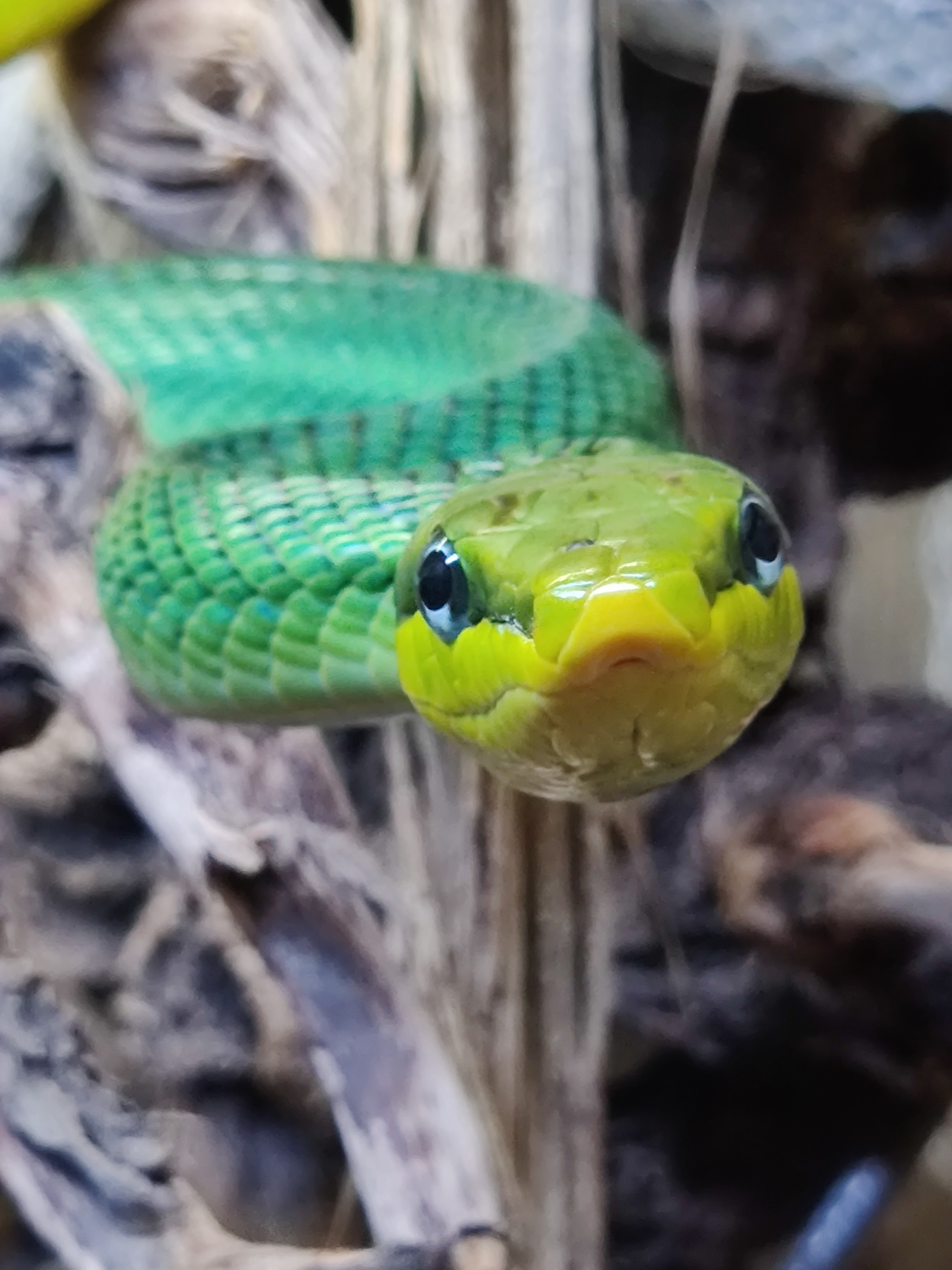 Photo n° 3 de l'avis de Julien.� fait le 20/06/2020 à 15:58