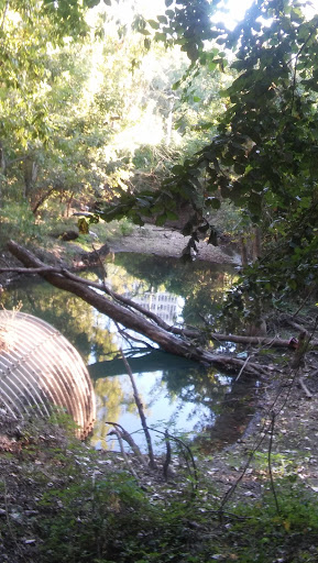 Tourist Attraction «Waugh Drive Bat Colony», reviews and photos, Waugh Dr, Houston, TX 77002, USA