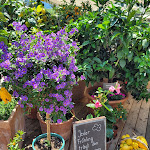 Photo n°3 de l'avis de Susanne.a fait le 11/06/2023 à 07:37 sur le  Panorama-Restaurant Leitenschenke à Tscherms